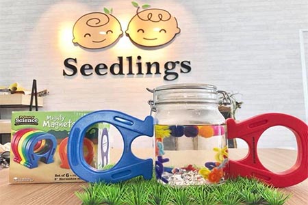 Seedlings store photo